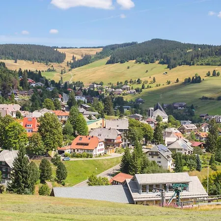 Daire Ferienwohnung Michel 02 Im Haus Schwarzwaldmarille- Todtnauberg, Feldberg